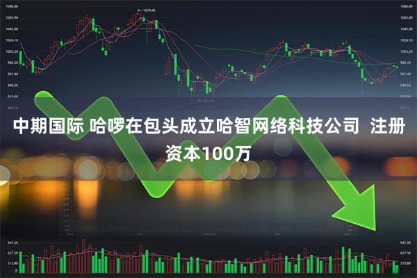 中期国际 哈啰在包头成立哈智网络科技公司  注册资本100万